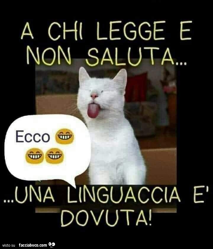 Vi meritate una linguaccia