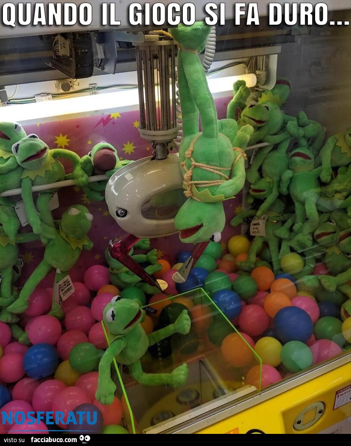 Kermit la rana BDSM