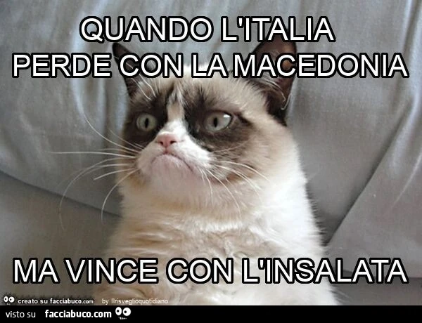 Quando l'italia perde con la macedonia ma vince con l'insalata