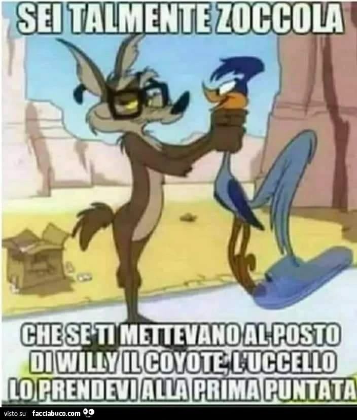 Vaccata