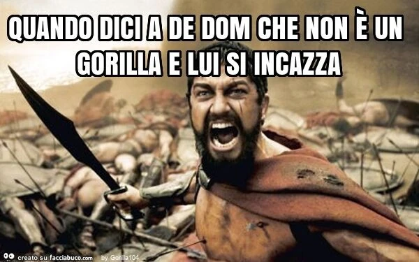 Quando dici a de dom che non è un gorilla e lui si incazza