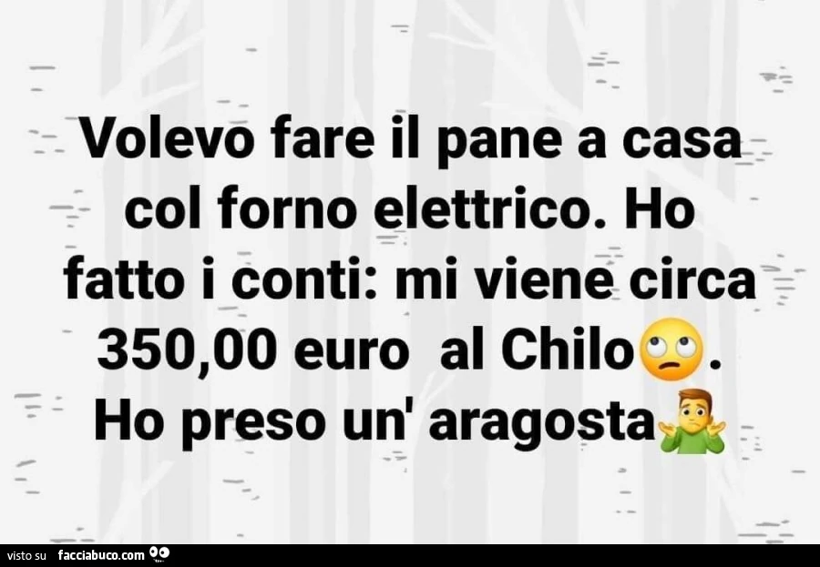 Volevo fare il pane a casa col forno elettrico. Ho fatto i conti: mi viene circa 350 euro al chilo; ho preso un'aragosta