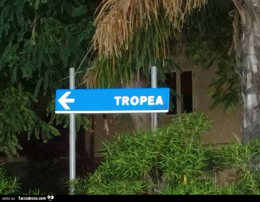 Estate mare