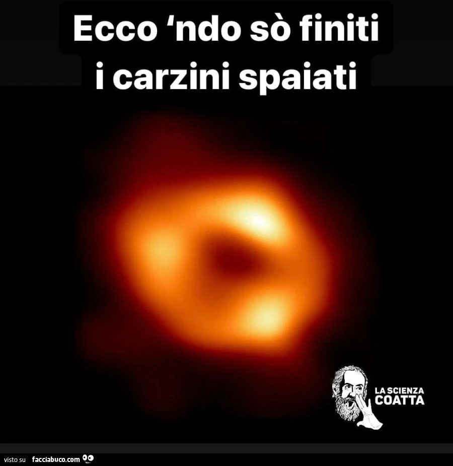 Vaccata