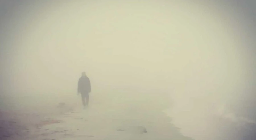 Nebbia