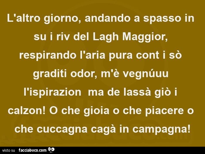 L'altro giorno, andando a spasso in su i riv del lagh maggior, respirando l'aria pura cont i sò graditi odor, m'è vegnüuu l'ispirazion ma de lassà giò i calzon! O che gioia o che piacere o che cuccagna cagà in campagna