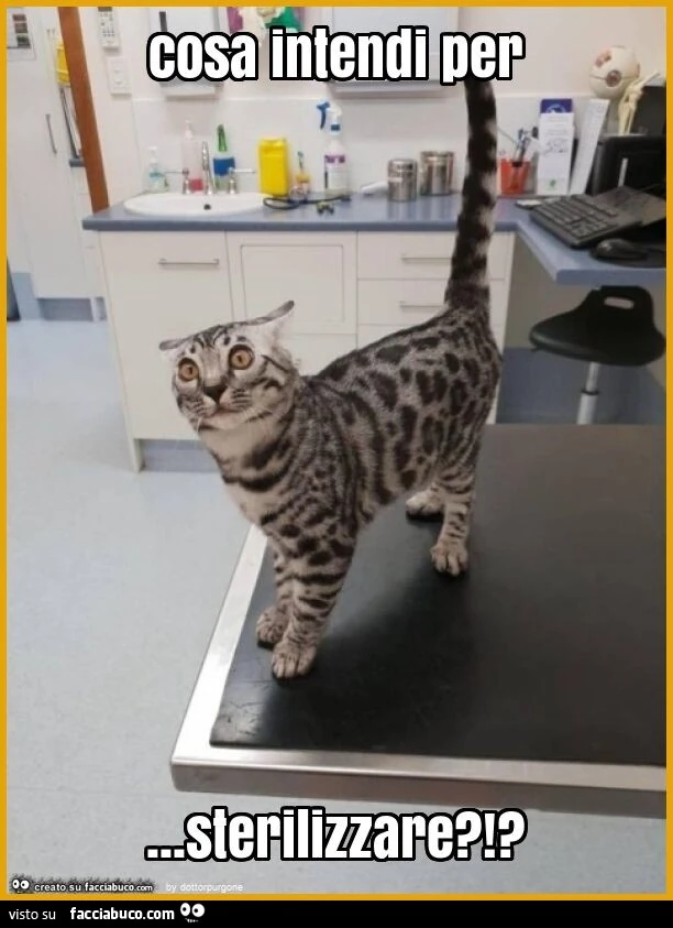 Cosa intendi per&hellip; sterilizzare?!?