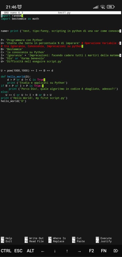Programmare con Python. Bestemmie