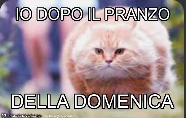 Io dopo il pranzo della domenica