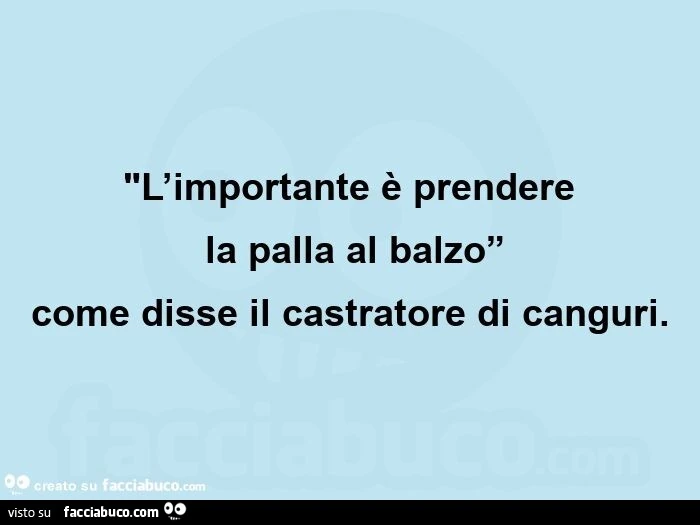 "l'importante è prendere  la palla al balzo”  come disse il castratore di canguri