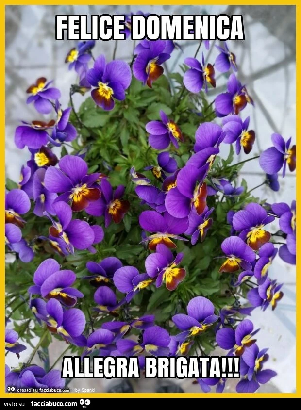 Felice domenica allegra brigata
