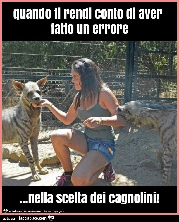 Quando ti rendi conto di aver fatto un errore&hellip; nella scelta dei cagnolini