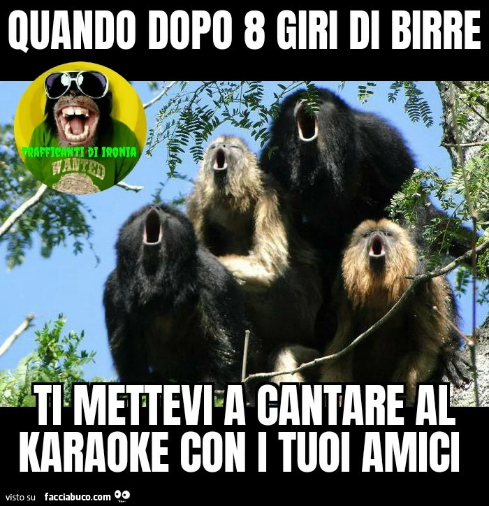 Quando dopo 8 giri di birre ti mettevi a cantare al Karaoke