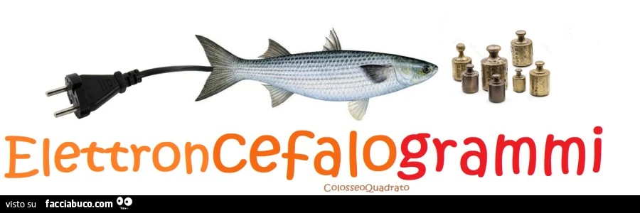 Elettroncefalogrammi