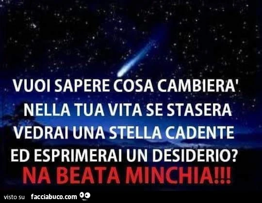 Stelle cadenti nella notte di San Lorenzo
