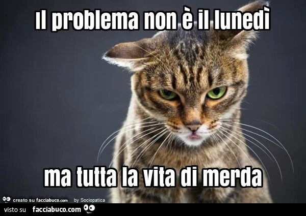 Il problema non è il lunedì ma tutta la vita di merda
