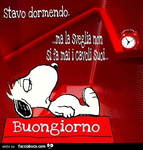 Stavo dormendo, ma la sveglia non si fa mai i cavoli suoi. buongiorno