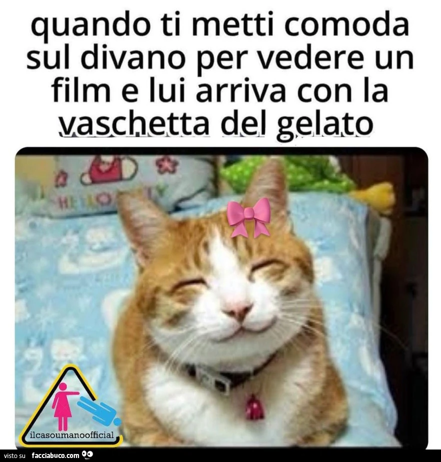 Vaccata