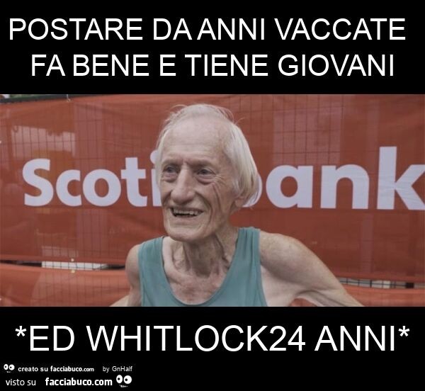 Postare da anni vaccate fa bene e tiene giovani *ed whitlock24 anni*