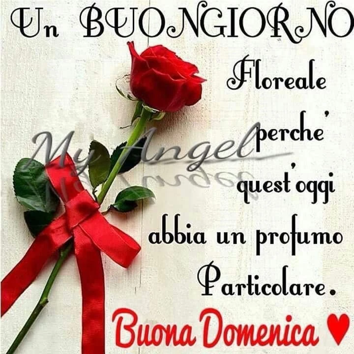 BUONA DOMENICA
