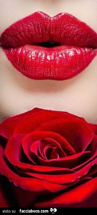 Labbra rosse e rosa rossa
