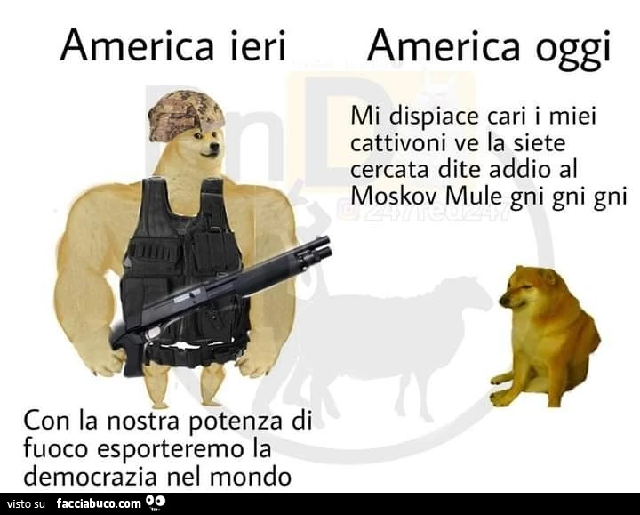 Vaccata