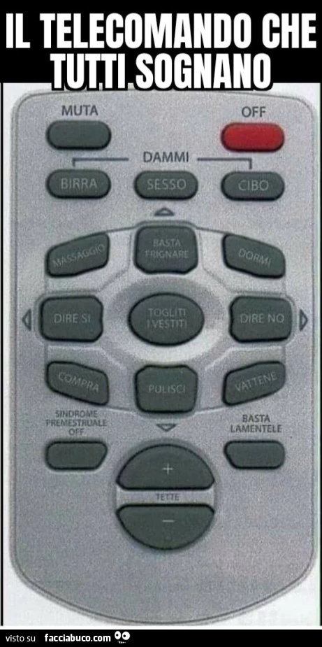 Il telecomando che tutti sognano