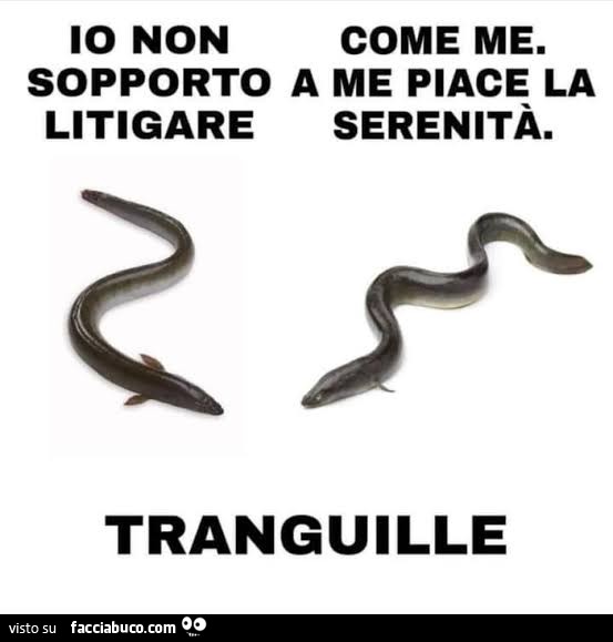 Tranguille