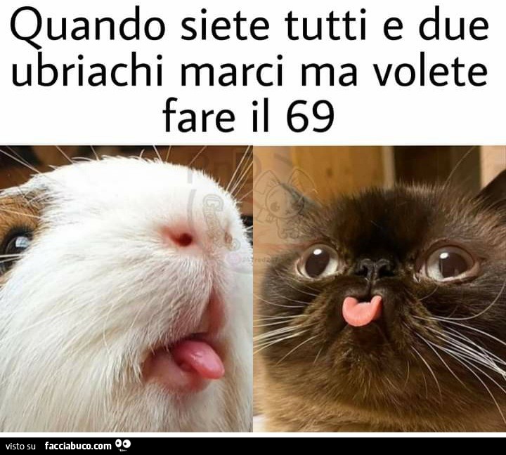 Quando siete tutti e due ubriachi marci