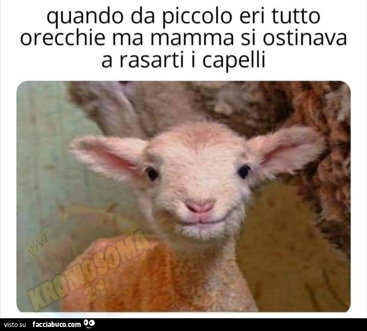 Quando da piccolo eri tutto orecchie ma mamma