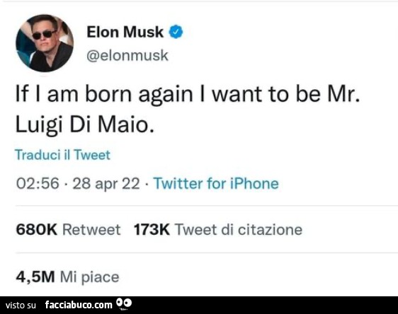 Elon Musk: if I am born again i want to be mr. luigi di maio