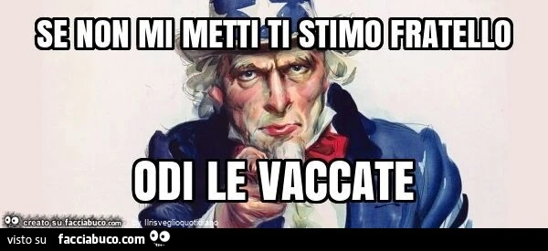 Se non mi metti ti stimo fratello odi le vaccate