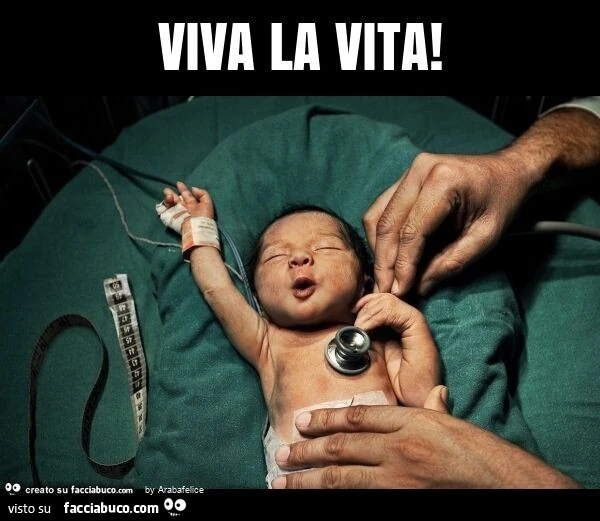 Viva la vita