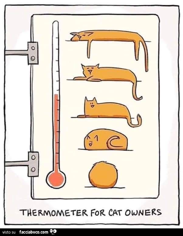 Thermometer for cat owners