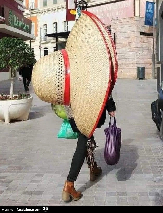 Vaccata