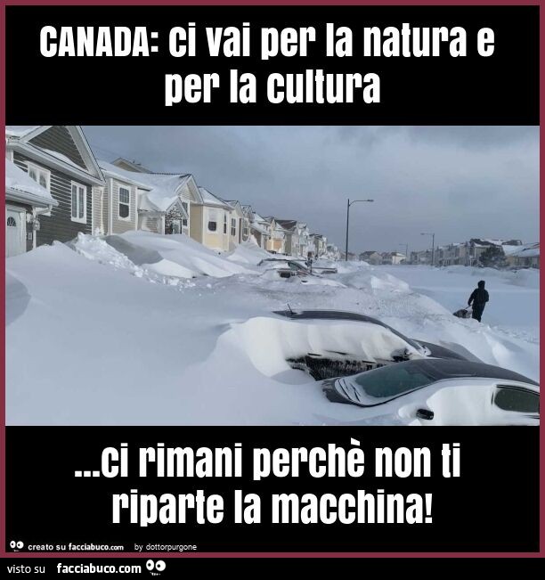Canada: ci vai per la natura e per la cultura… ci rimani perchè non ti riparte la macchina
