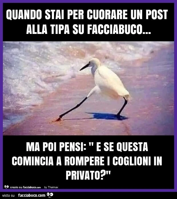 Thaimax Facciabuco Quando stai per cuorare un post alla tipa su facciabuco&hellip; ma poi pensi: " e se questa comincia a rompere i coglioni in privato? "
