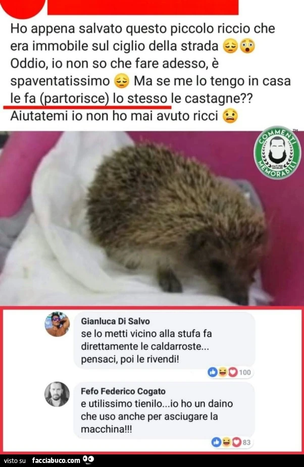 Vaccata