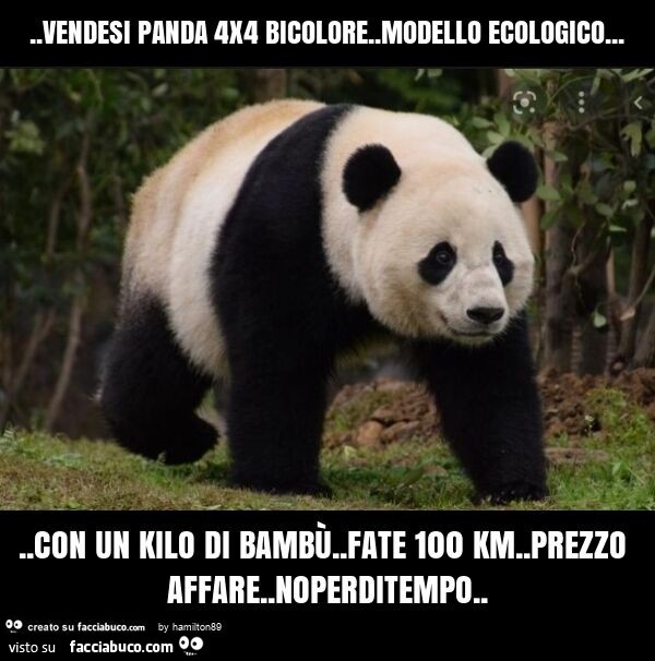 Vendesi panda 4x4 bicolore. modello ecologico… con un kilo di bambù. fate 100 km. prezzo affare. noperditempo