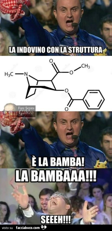 Vaccata