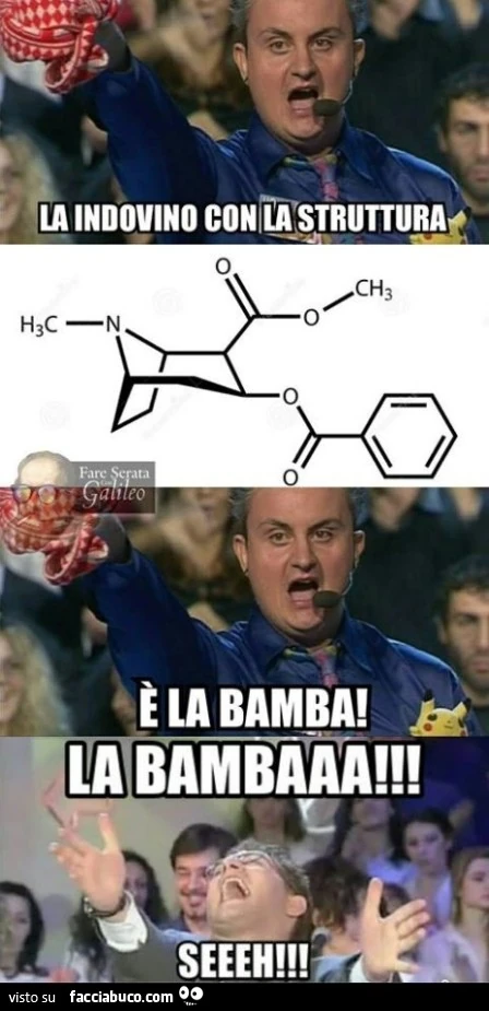 Vaccata