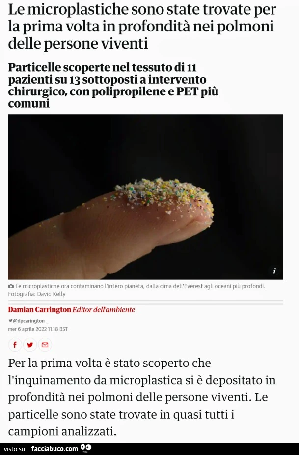 Vaccata