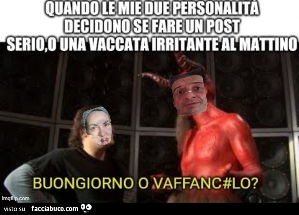Vaccata