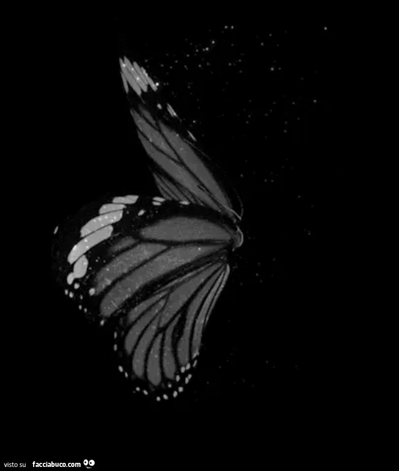 Il battito d'ali della farfalla