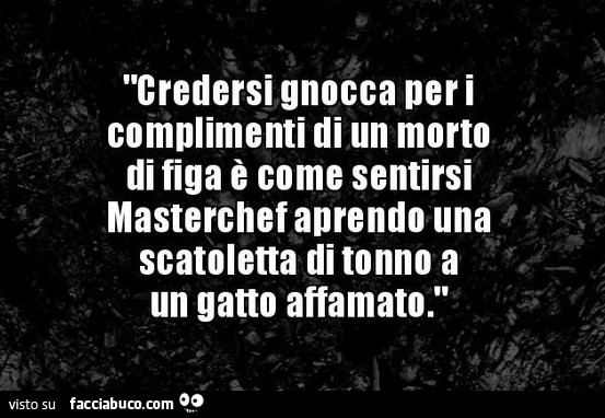 Credersi gnocca per i complimenti di un morto di figa è come credersi masterchef aprendo una scatoletta di tonno a un gatto affamato