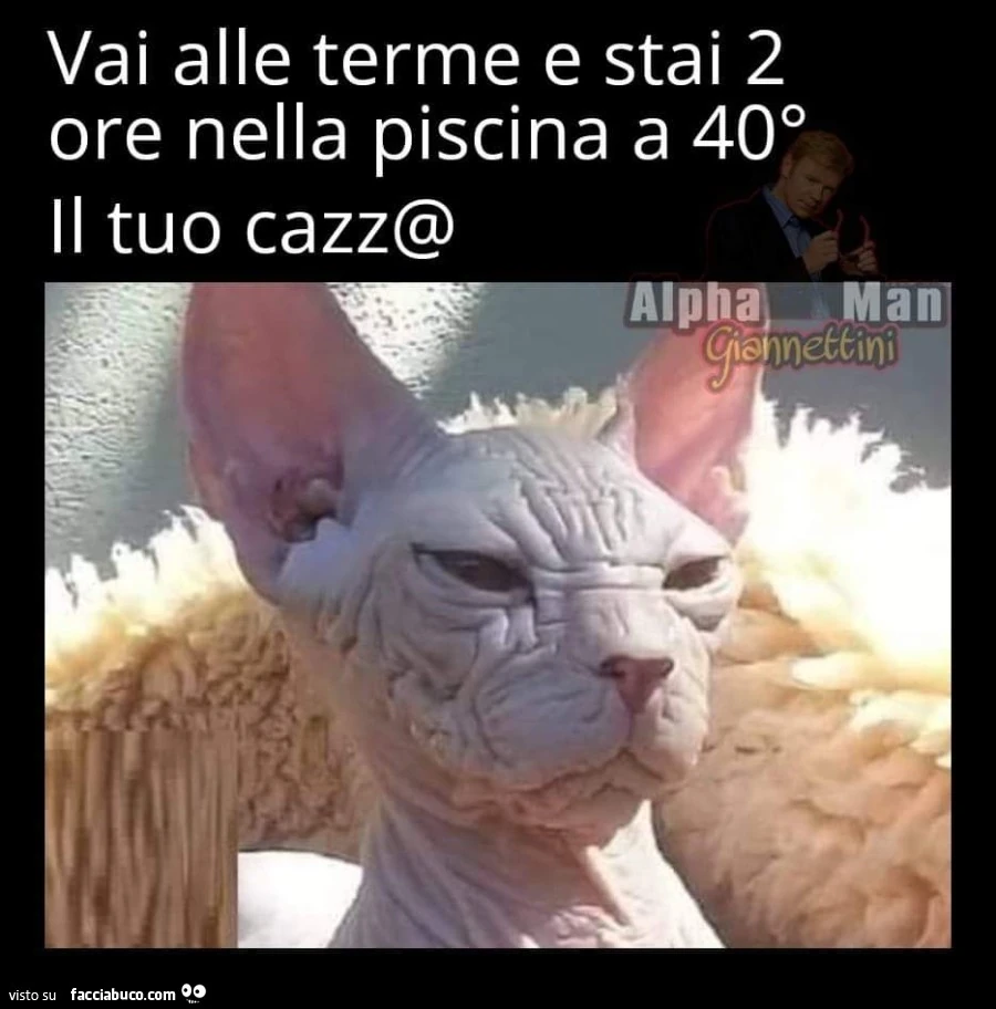 Vaccata