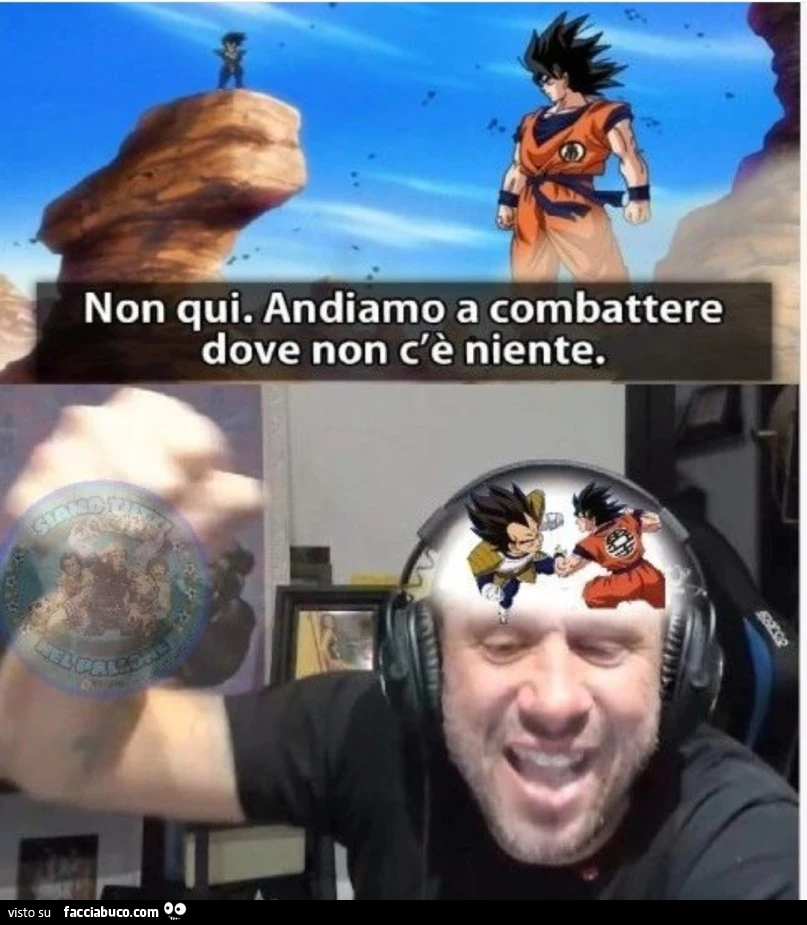 Vaccata