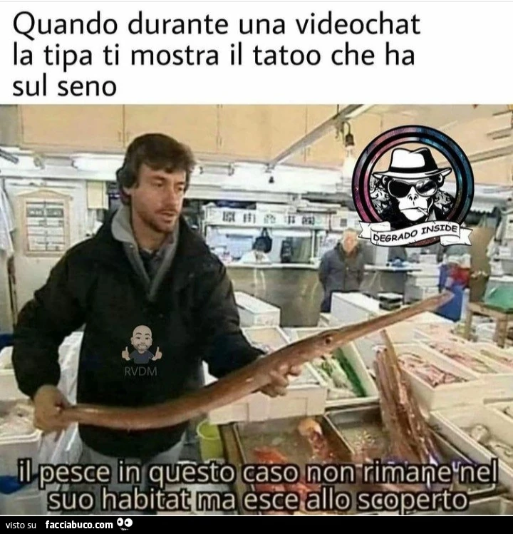 Quando durante una videochat la tipa ti mostra il tatoo che ha sul seno