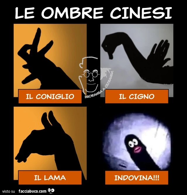 Le ombre cinesi